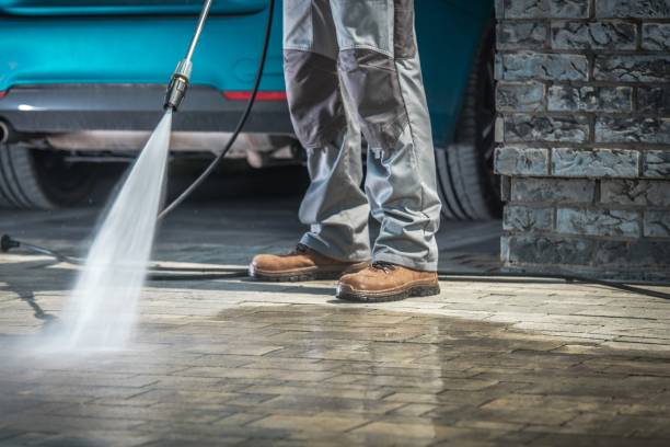 Best Driveway Pressure Washing  in Westlake Vlage, IL