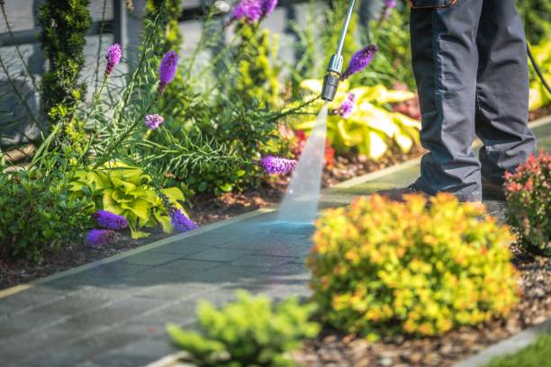 Spring Cleaning in Westlake Village, IL