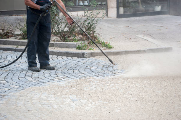 Animal Enclosure Cleaning in Westlake Village, IL