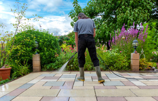 Spring Cleaning in Westlake Village, IL